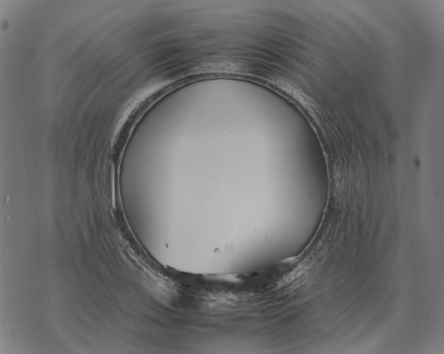 X0000070391123200606231731