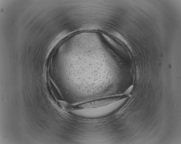 X0000070391124200606231731