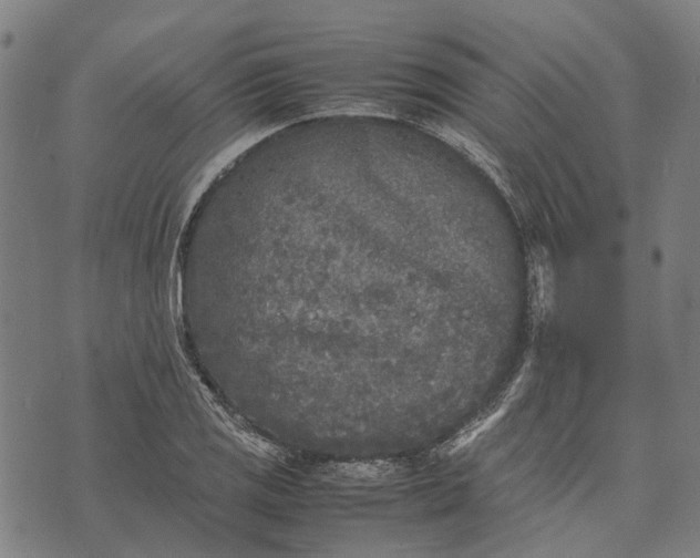 X0000070391125200606231731