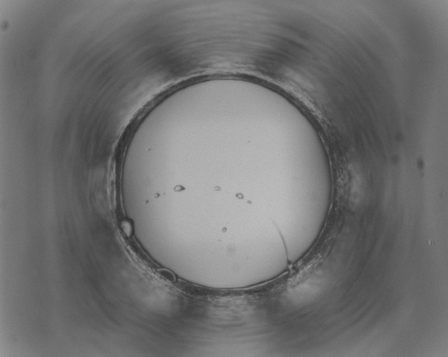 X0000070391126200606231731