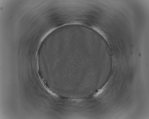 X0000070391127200606231731