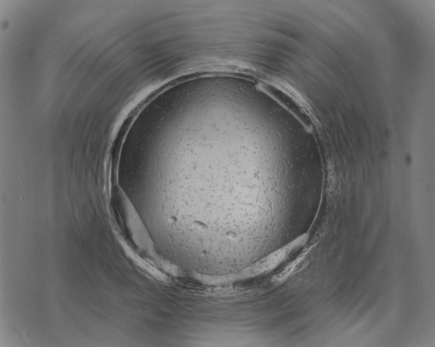 X0000070391128200606231731