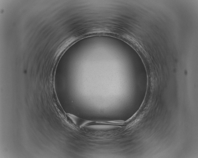 X0000070391129200606231731