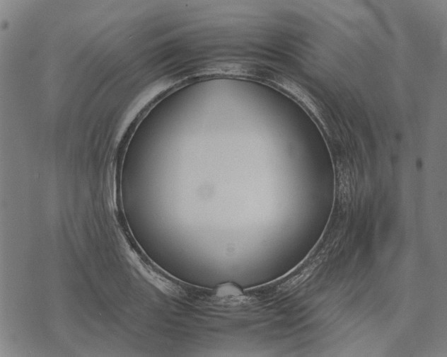 X0000070391131200606231731