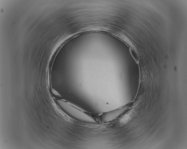 X0000070391132200606231731