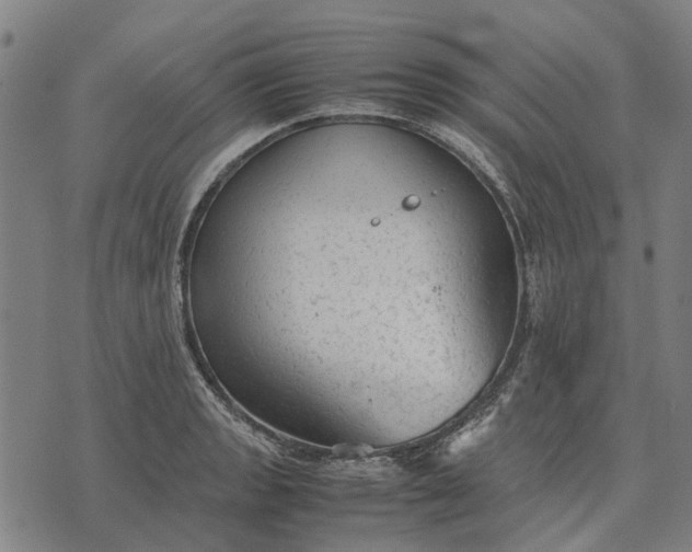 X0000070391133200606231731