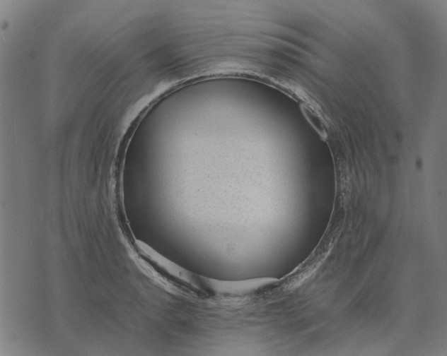 X0000070391134200606231731