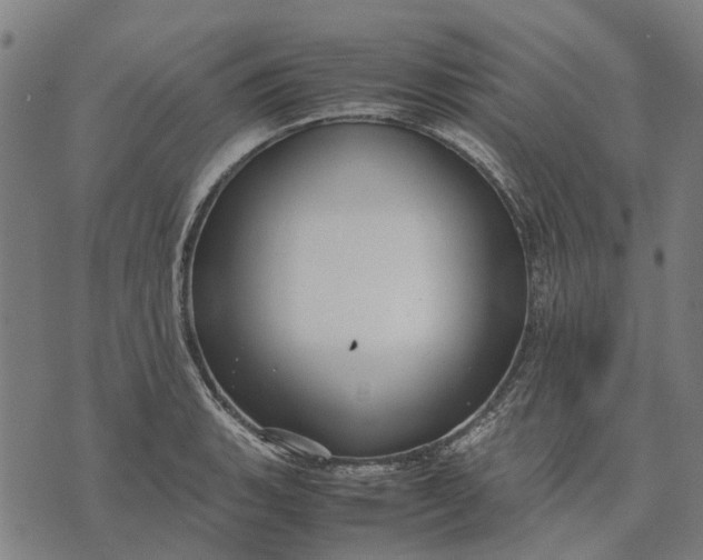 X0000070391135200606231731