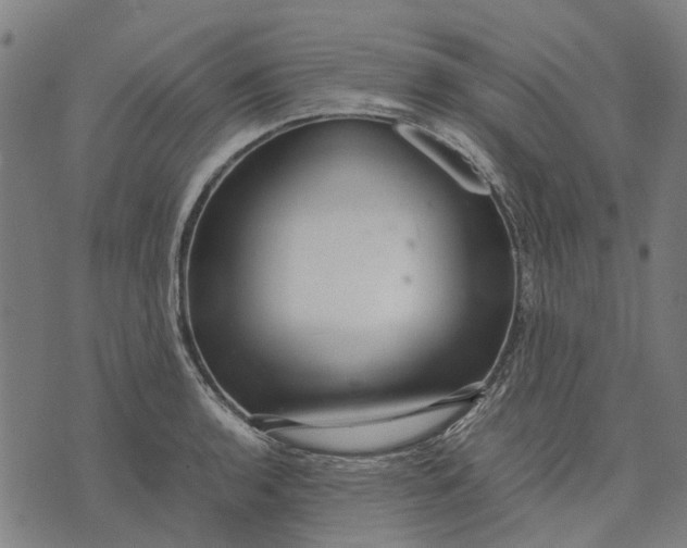 X0000070391136200606231731