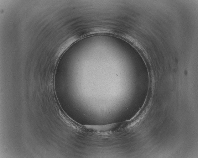 X0000070391137200606231731