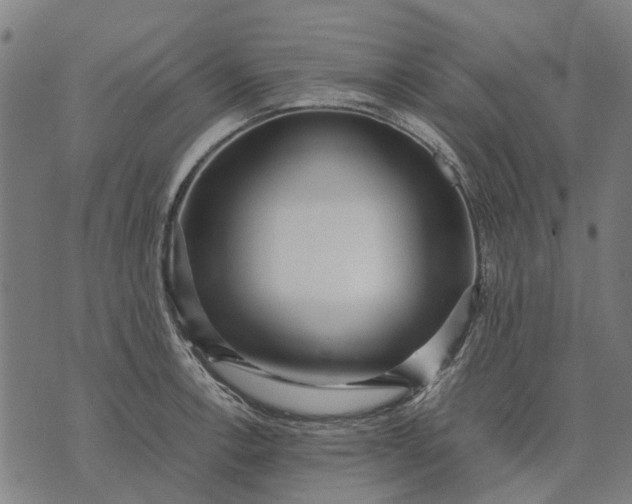 X0000070391138200606231731