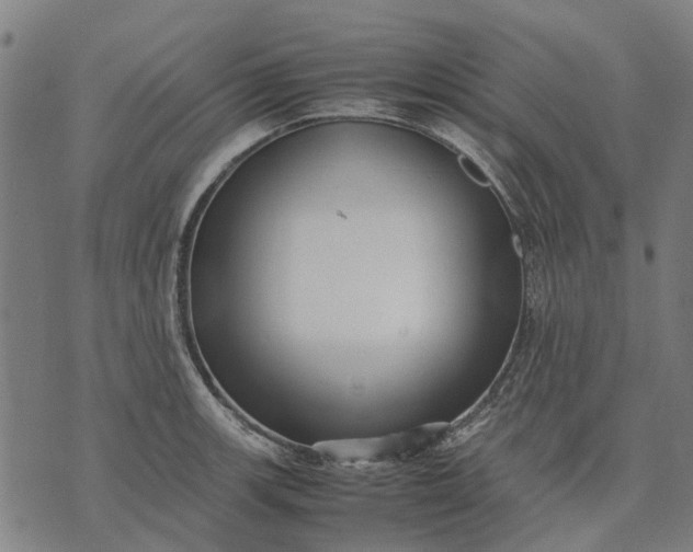 X0000070391139200606231731