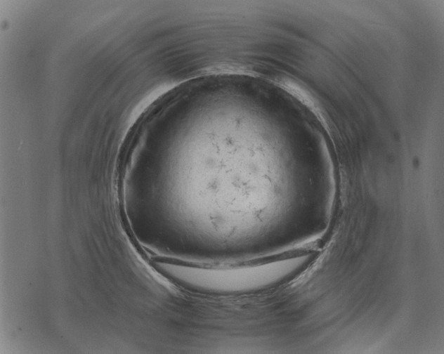 X0000070391141200606231731