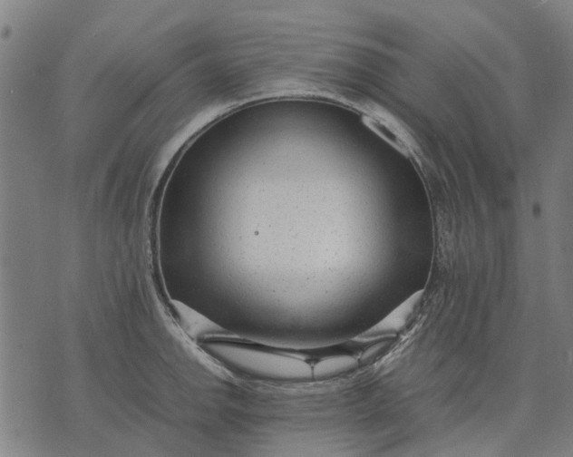 X0000070391142200606231731