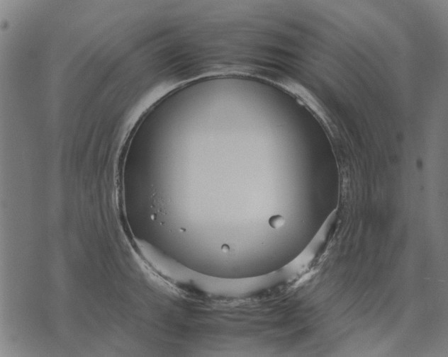 X0000070391143200606231731