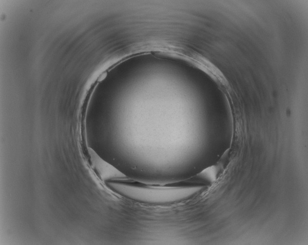 X0000070391144200606231731