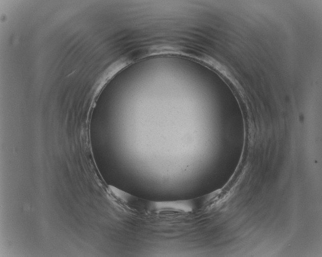 X0000070391145200606231731