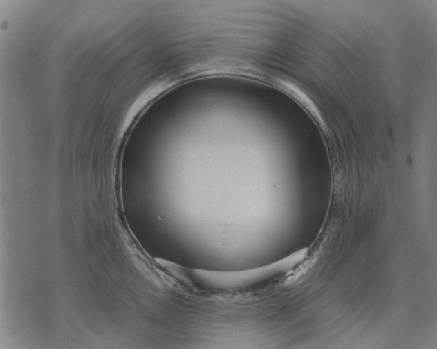 X0000070391146200606231731