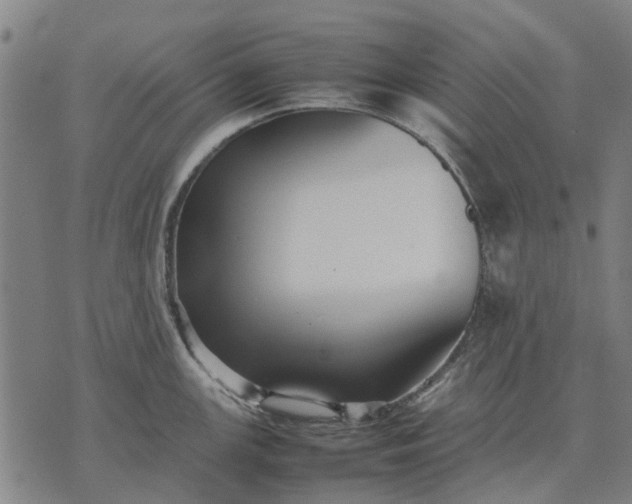 X0000070391147200606231731