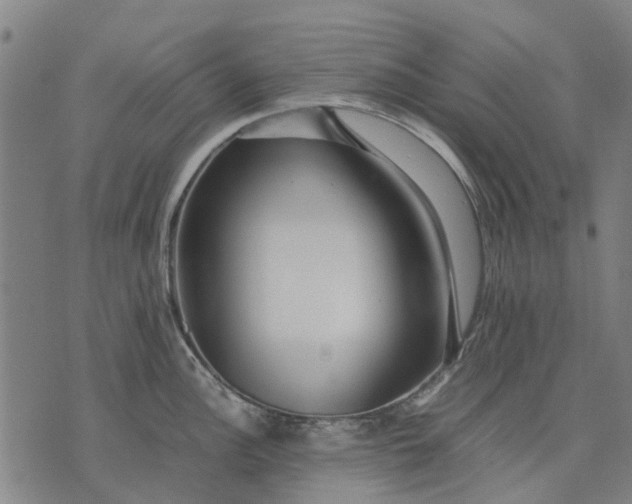 X0000070391148200606231731