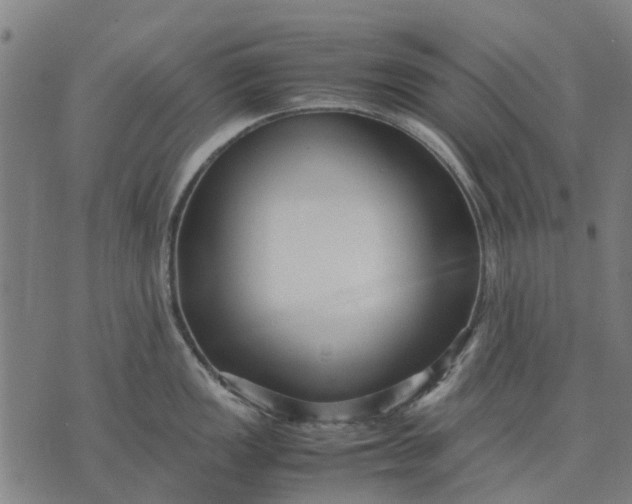 X0000070391149200606231731