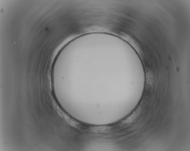 X0000070391150200606231731