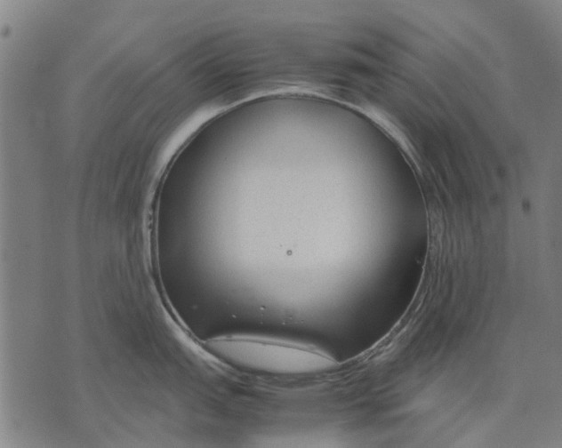 X0000070391151200606231731