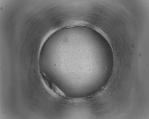 X0000070391152200606231731