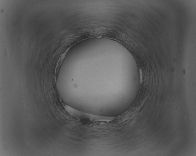 X0000070391153200606231730