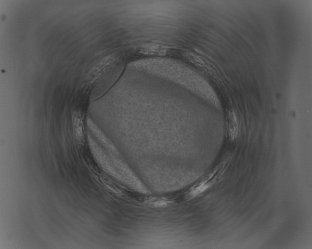 X0000070391154200606231730