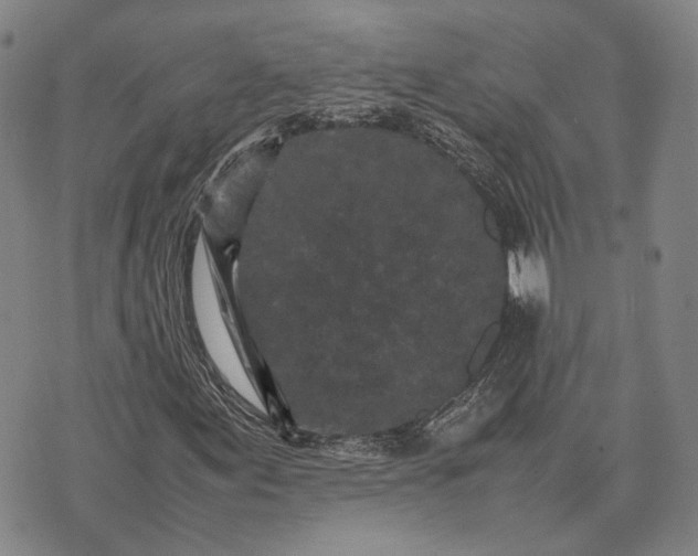 X0000070391155200606231730