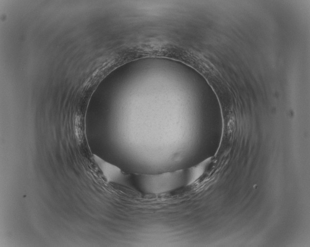 X0000070391156200606231730