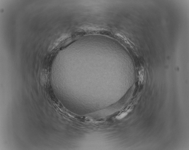 X0000070391157200606231730