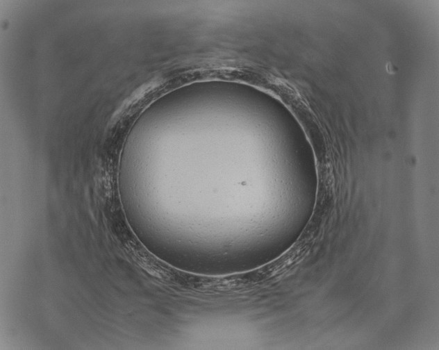 X0000070391159200606231730