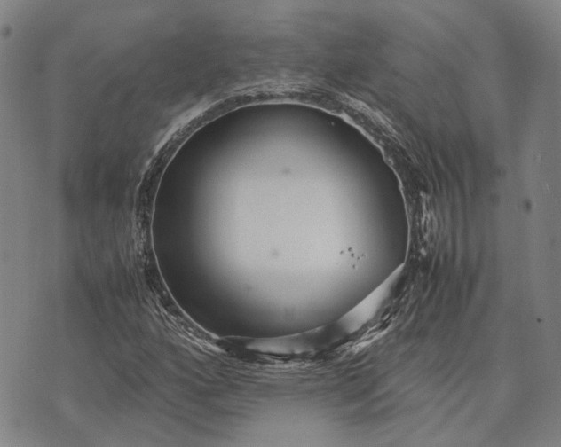 X0000070391160200606231730