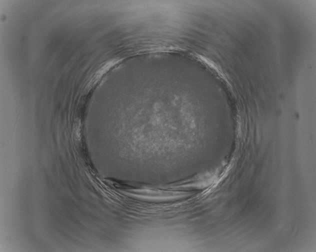 X0000070391161200606231730