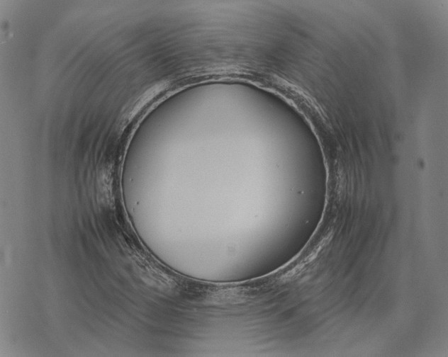 X0000070391162200606231730