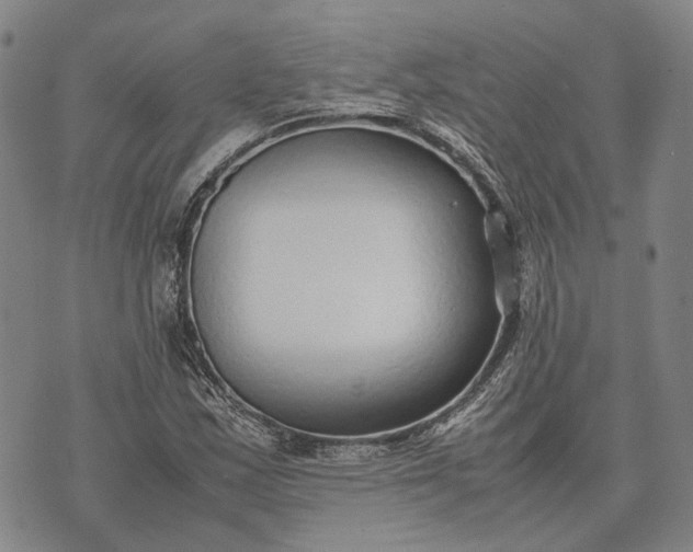 X0000070391163200606231730