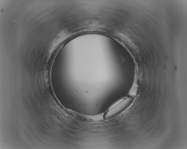 X0000070391164200606231730