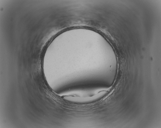 X0000070391167200606231730