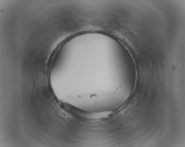 X0000070391168200606231730