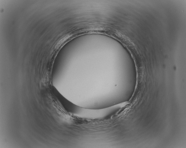 X0000070391169200606231730