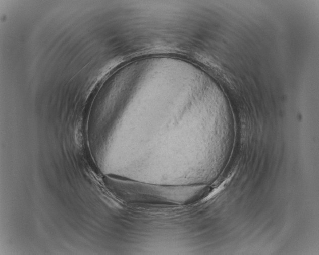 X0000070391170200606231730