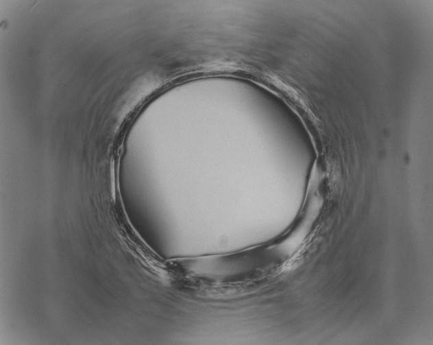 X0000070391171200606231730