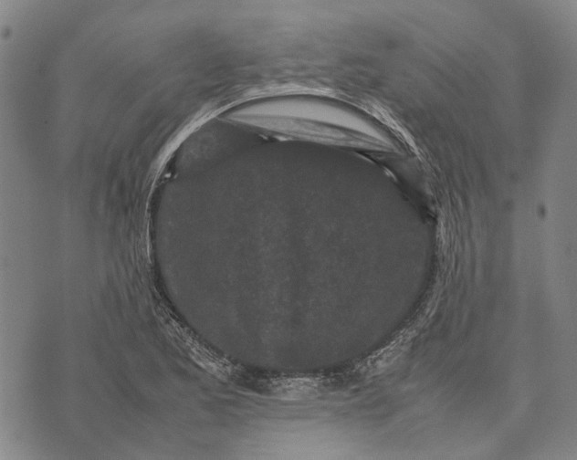 X0000070391173200606231730