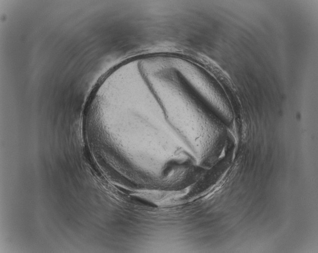 X0000070391174200606231730