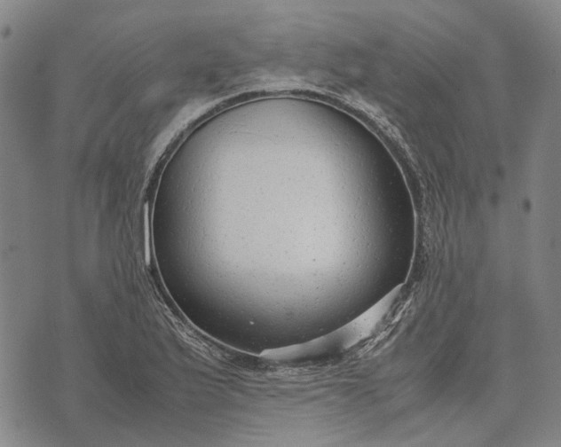 X0000070391175200606231730