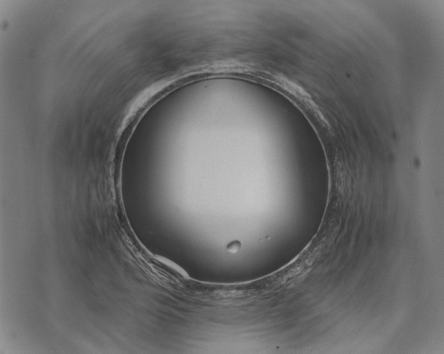 X0000070391176200606231730