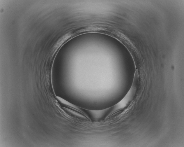 X0000070391177200606231730