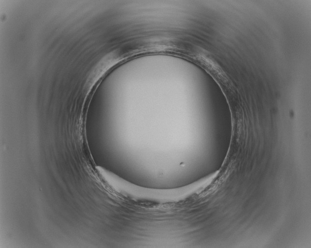 X0000070391178200606231730